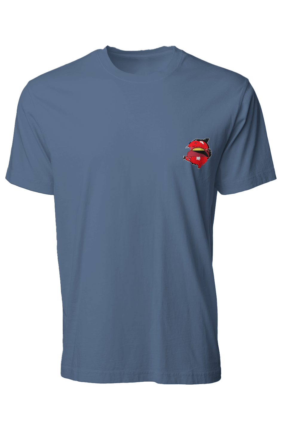 Men's Premium Pigment Dye T-Shirt